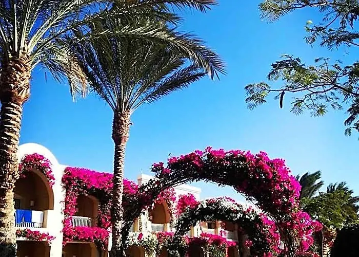 Tui Magic Life Kalawy