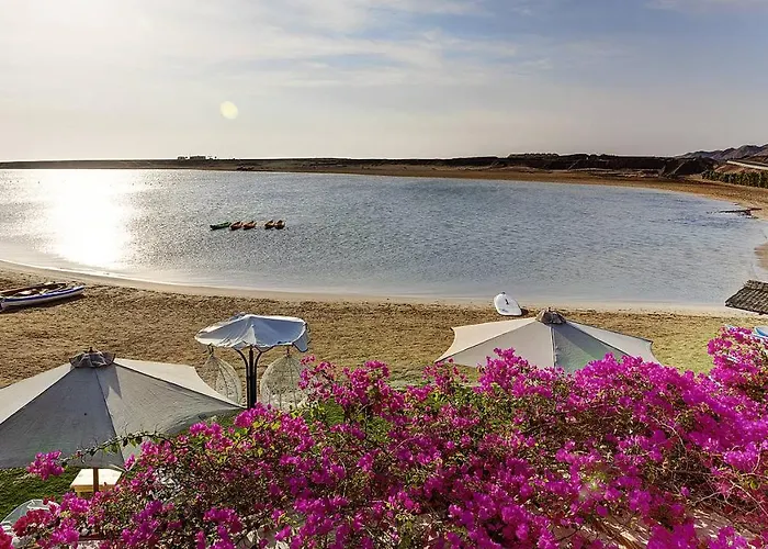 Tui Magic Life Kalawy Otel