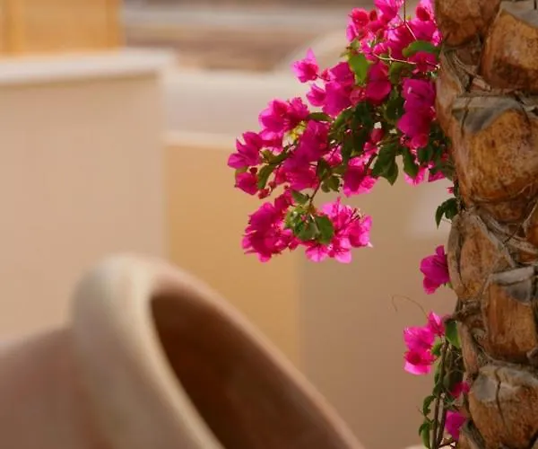 Otel Tui Magic Life Kalawy Safaga