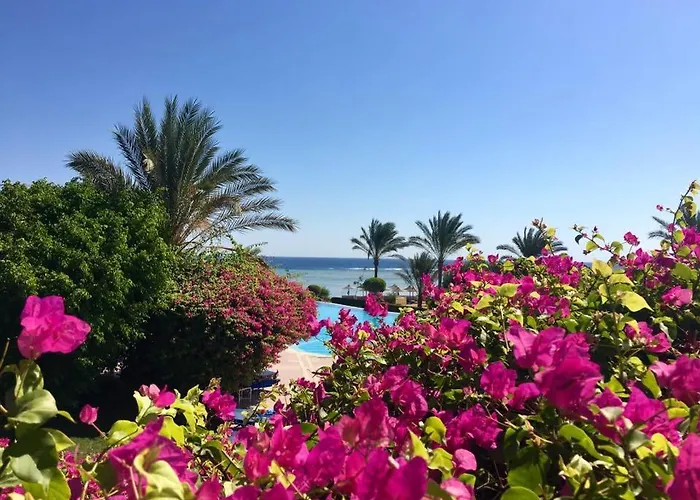 Tui Magic Life Kalawy Safaga
